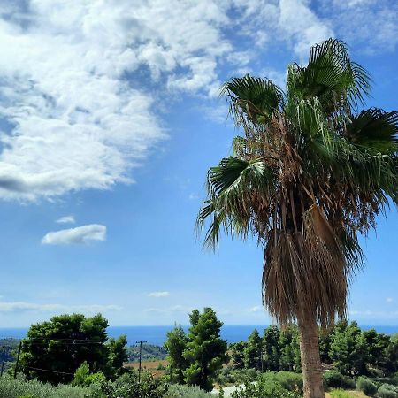 House With View Villa Agia Paraskevi  Exterior photo